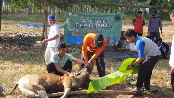 Hikmah di Balik Ibadah Kurban: Mengapa Harus Dilakukan?