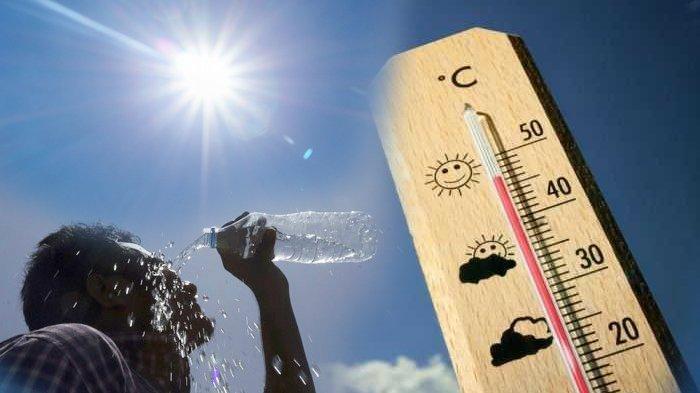 Periode Terpanas dalam 12 Bulan Terakhir: Dunia Butuh Langkah Cepat Atasi Pemanasan Global