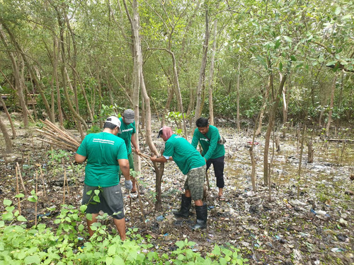 Ekowisata Mangrove Wonorejo Hadapi Tantangan Besar Akibat Sampah, jannonews.com