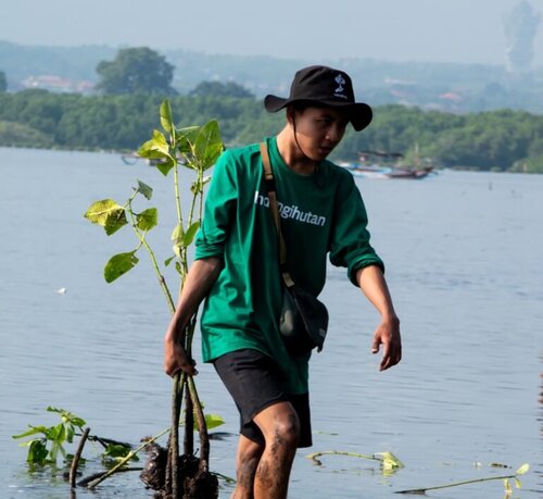 POLUTREE, Program Baru LindungiHutan untuk Pengurangan Emisi Gas Rumah Kaca, jannonews.com
