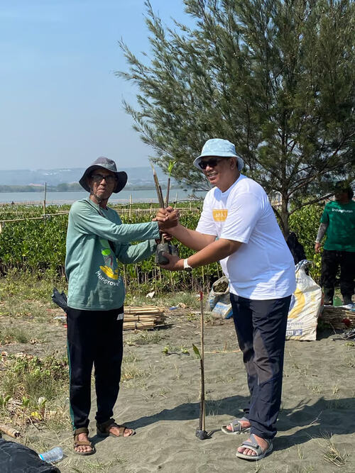 The Wujil Resort Ungkap Kerja Sama dengan LindungiHutan dan Perkembangan Mangrove Terkini, jannonews.com