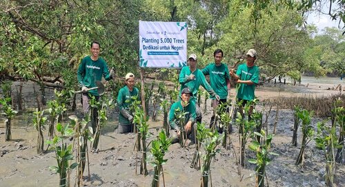 Dedikasi untuk Negeri: Bank Indonesia Dukung LindungiHutan Tanam 20.000 Pohon Bakau, jannonews.com