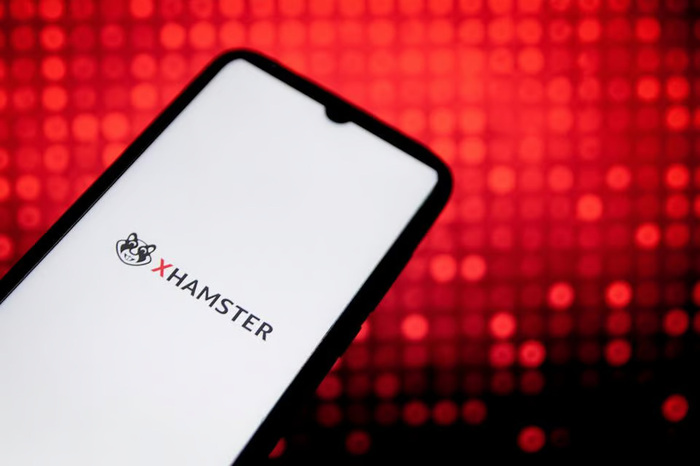 Get to Know About Xhamster vs Hamster (HMSTR): Understanding the Key Differences, jannonews.com