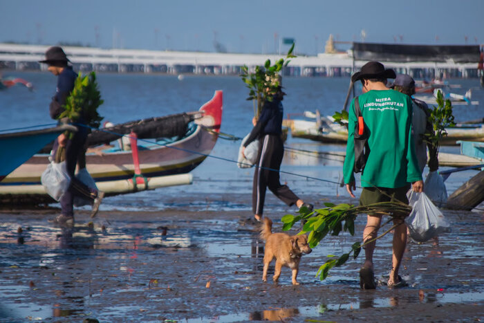 LindungiHutan Capai Target 1 Juta Pohon, Ini Pihak-Pihak yang Mendukung Kesuksesannya, jannonews.com