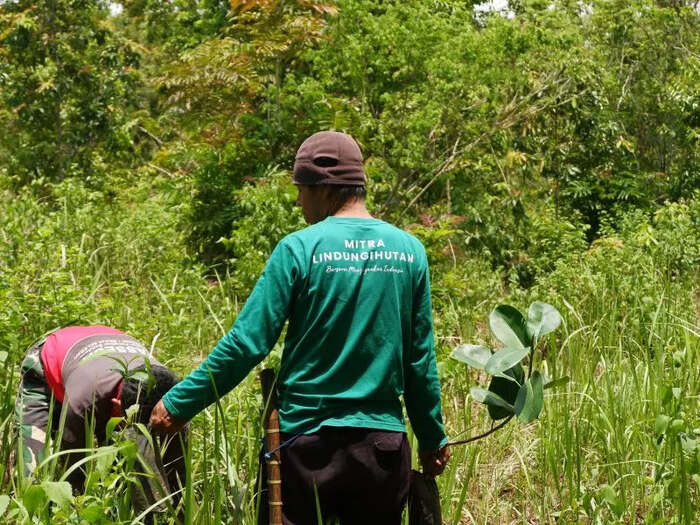 LindungiHutan Dorong Perusahaan Perluas Dampak CSR hingga Tingkat Ekosistem, jannonews.com