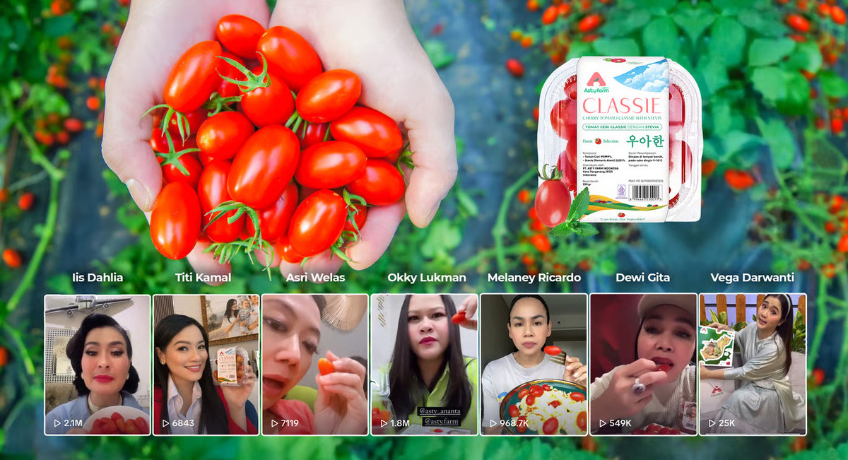 Cherry Tomato Stevia Astyfarm, Tomat Premium yang Bikin Artis Indonesia Jatuh Cinta, jannonews.com