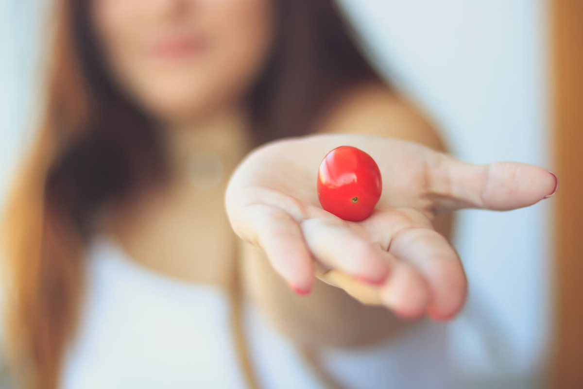 TOMAT SUPERFOOD: Kandungan Cherry Tomato Stevia yang Mendukung Kulit Cerah dan Awet Muda, jannonews.com